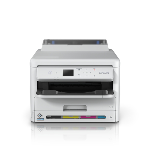 Epson C11CK25401