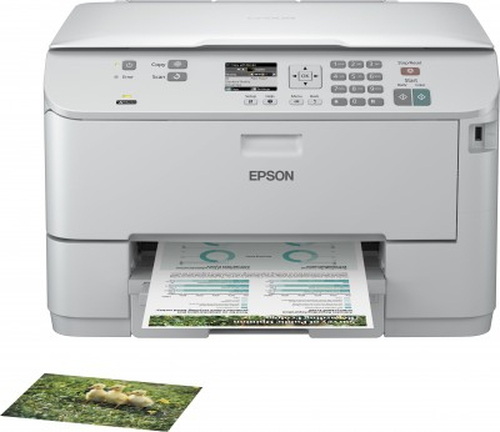 Epson C11CB34301