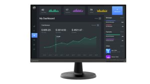 Lenovo C24-40 Monitor