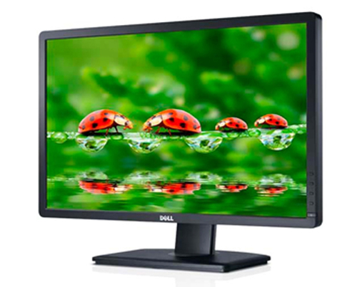 DELL P2412H
