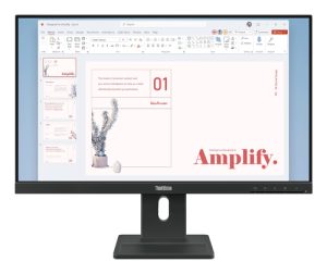 Lenovo ThinkVision E24-40 Monitor