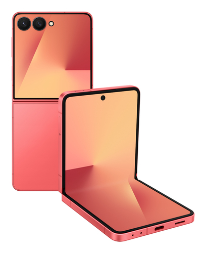 Samsung SM-F766BZRGEUB