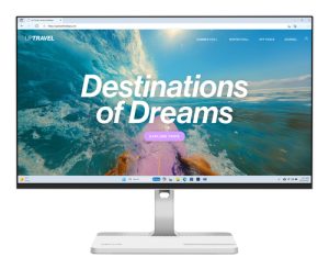 Lenovo L24D-4C
