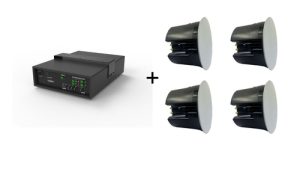 Vivolink Audiopack Subwoofer 6.5 + 4 x premium 40W ceiling speakers (Limited Bundle Pack Offer)