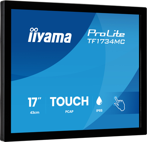 iiyama TF1734MC-B8X
