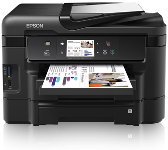 Epson C11CC31301