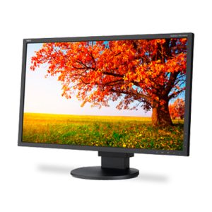NEC EA224WMI-BK
