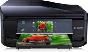 Epson Expression Premium XP-800