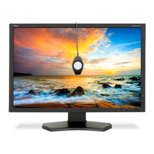 NEC P242W-BK-SV