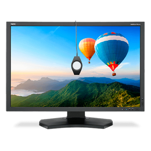 NEC PA302W-BK-SV