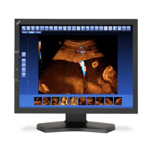 NEC MD210C2