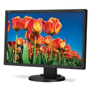 NEC E222W