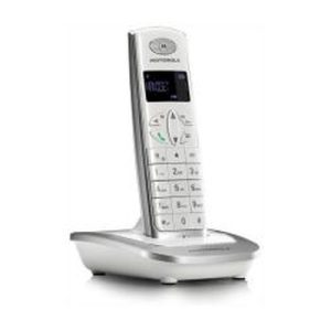 Motorola D501