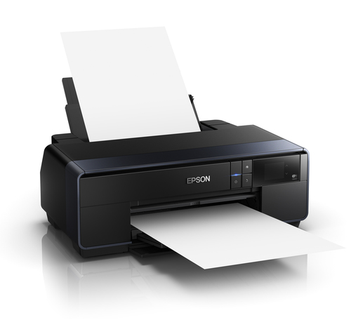 Epson C11CE21301