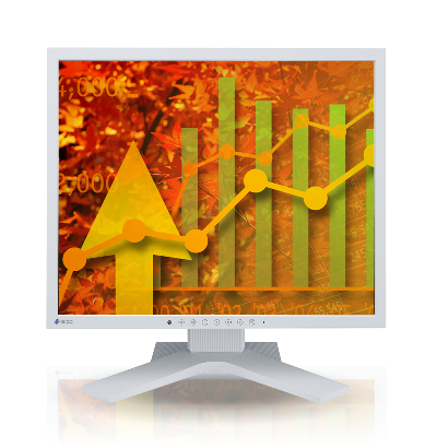 EIZO 21530
