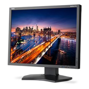 NEC P212