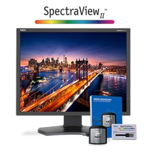 NEC P212-BK-SV