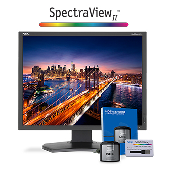 NEC P212-BK-SV
