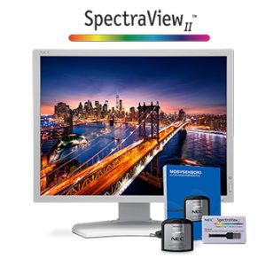 NEC P212-SV