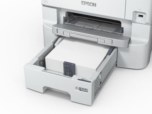 Epson C11CD49301