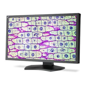 NEC MD322C8