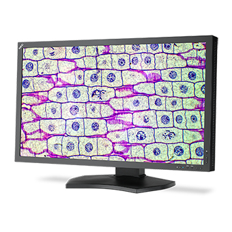 NEC MD322C8