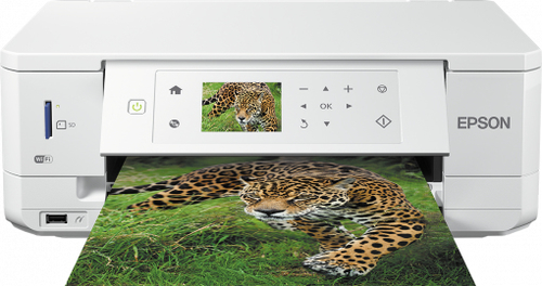 Epson C11CF50404