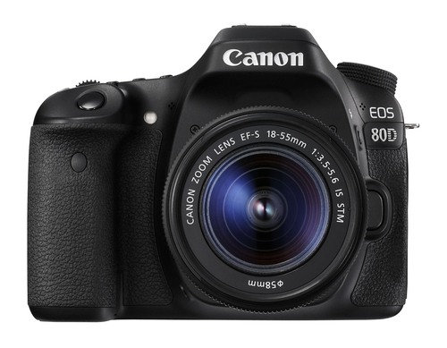 Canon 1263C005
