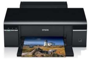Epson Stylus Photo P50
