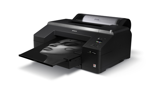 Epson C11CF66001A0