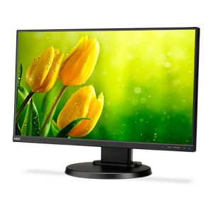 NEC E221N