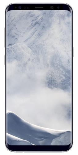 Samsung Galaxy S8+ SM-G955F