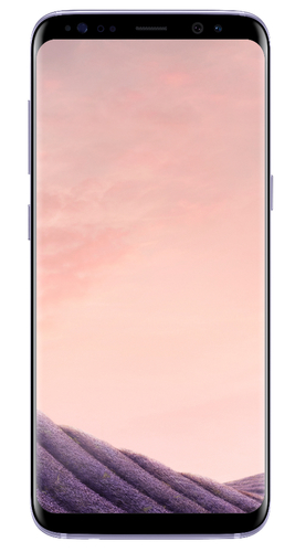 Samsung Galaxy S8 SM-G950F