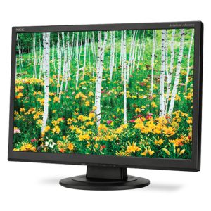 NEC AS221WM
