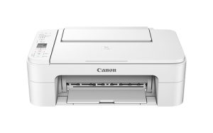 Canon PIXMA TS3151