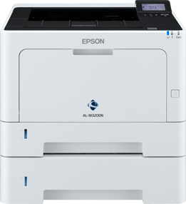 Epson C11CF21401BW