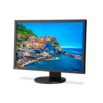 NEC PA243W-BK