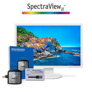NEC PA243W-SV