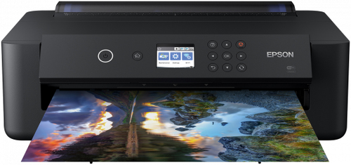 Epson C11CG43401