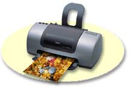 Epson C11C525051