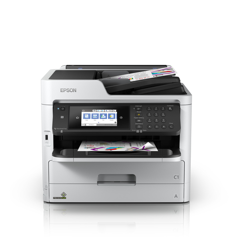Epson C11CG03401