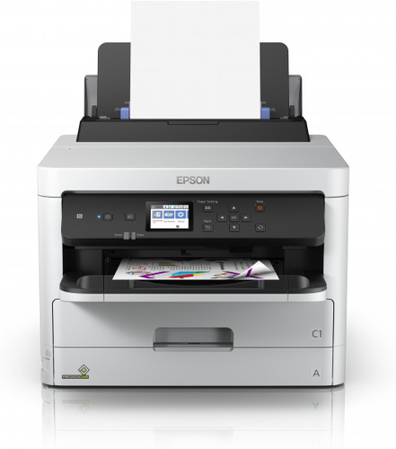 Epson C11CG06401BY