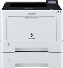 Epson C11CF22401BZ