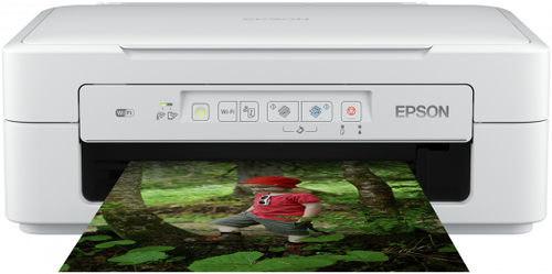 Epson C11CH17402