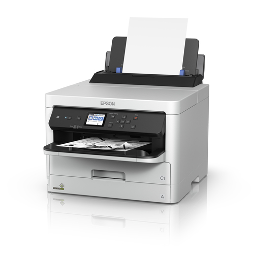Epson C11CG07401