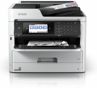Epson C11CG04401BY