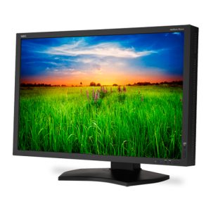 NEC PA301W