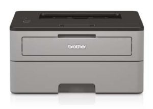 Brother HL-L2312D