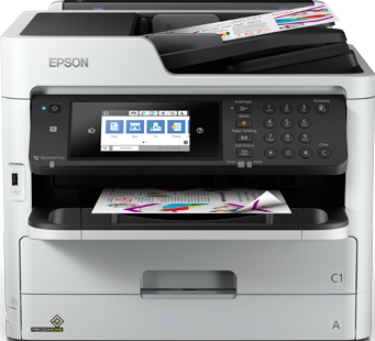 Epson C11CG02401PB