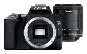 Canon EOS 250D+EF-S 18-55mm